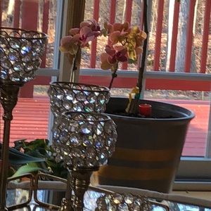 Meet your Posher, Melisa